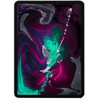 iPad Pro 11 2020 (A2228/A2068/A2231)
